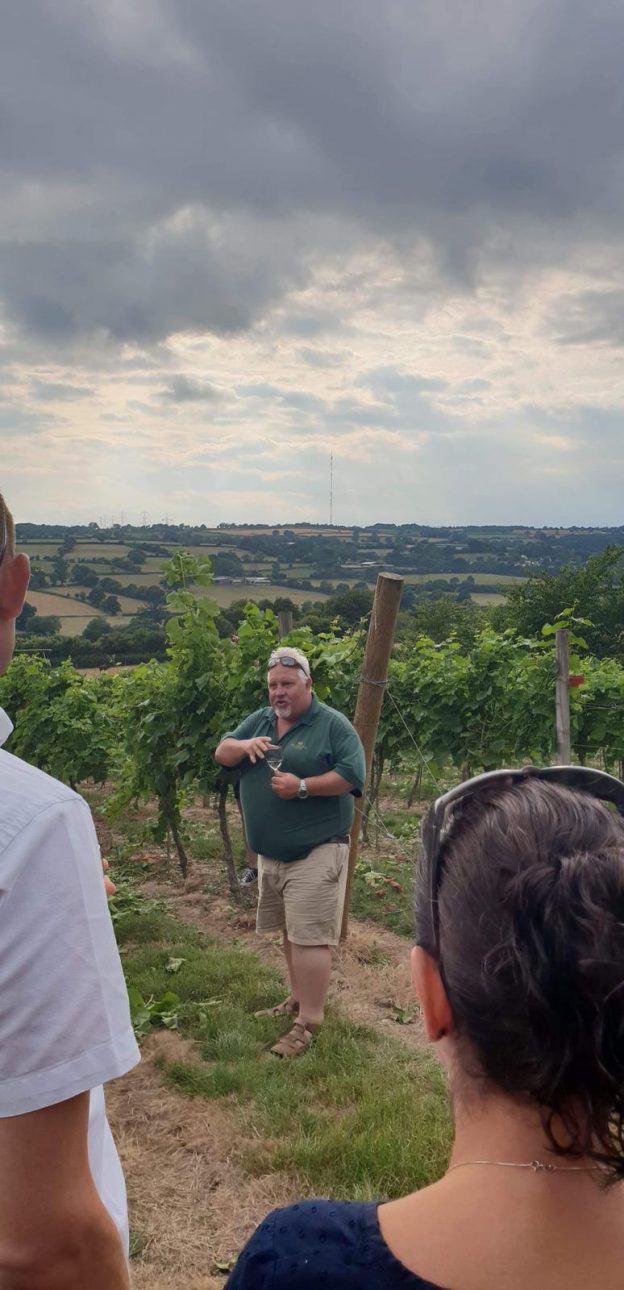Vineyard Tours - Image 7