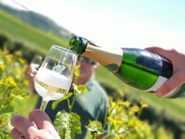 Vineyard Tours - Image 9