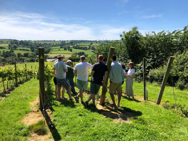 Vineyard Tours - Image 10